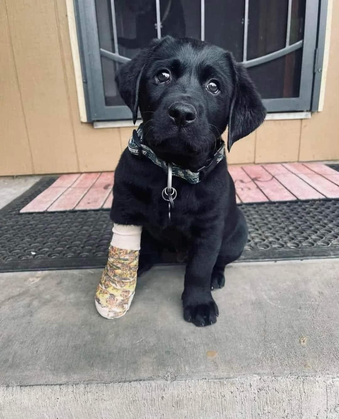 Mới mua 100k bó bột hết 300k