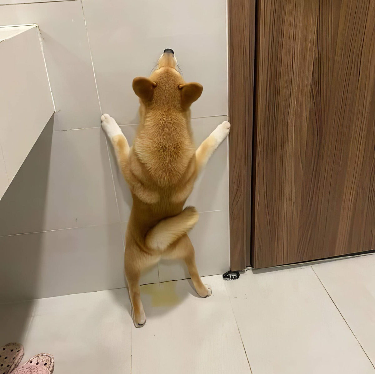 Vậy cũng được à anh em