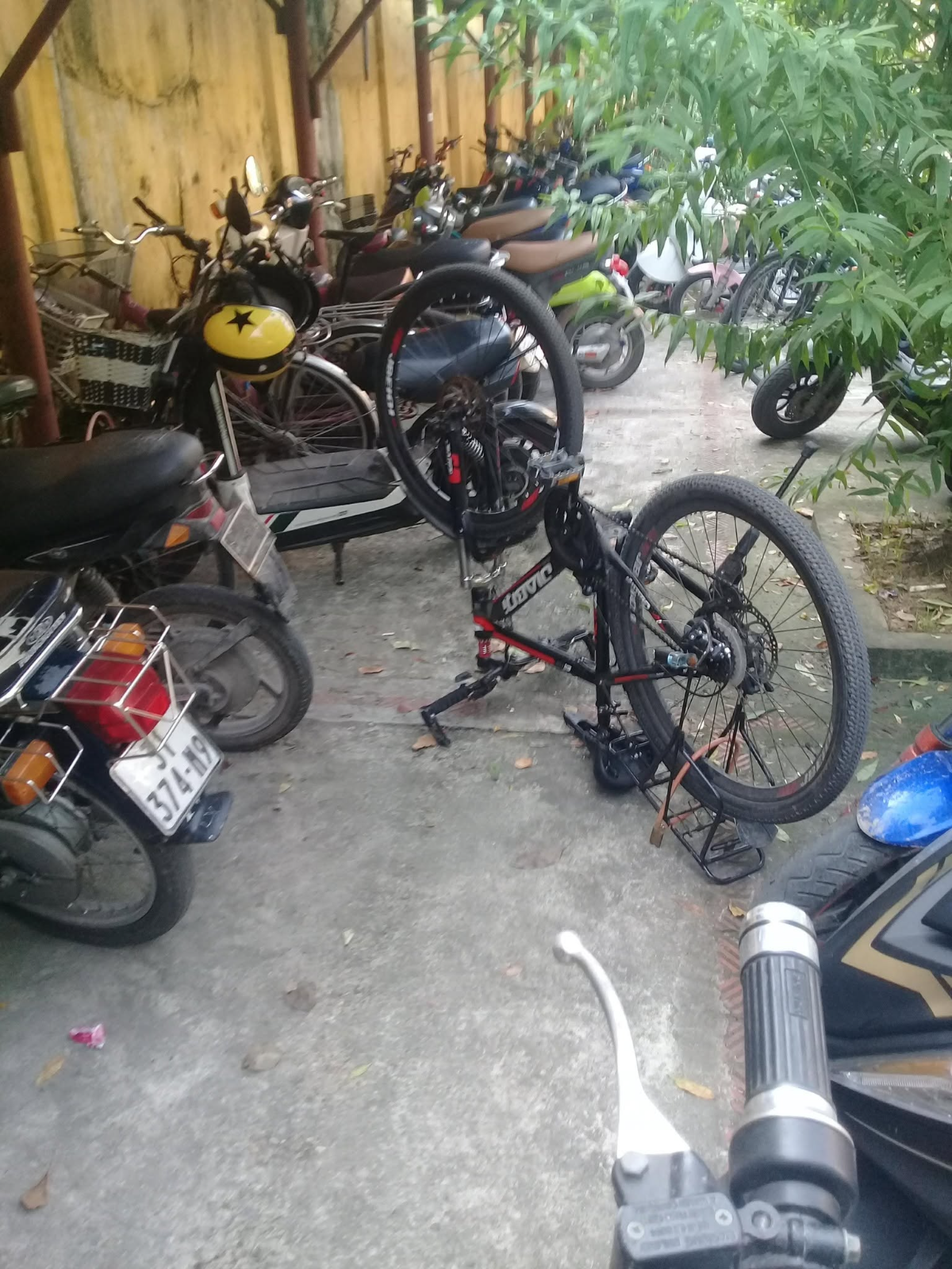 Cái này là cái gì đây
