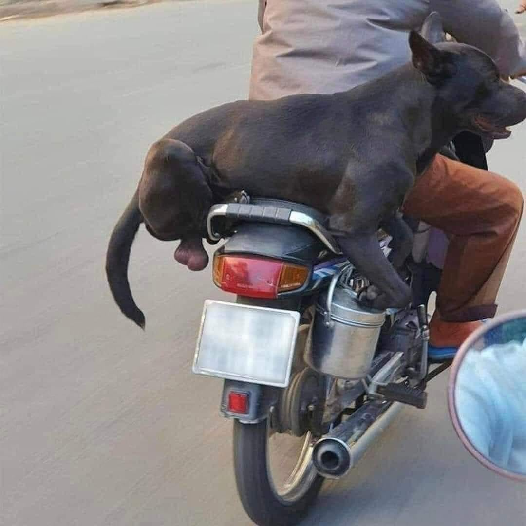 Theo mẹ đem cơm cho ba